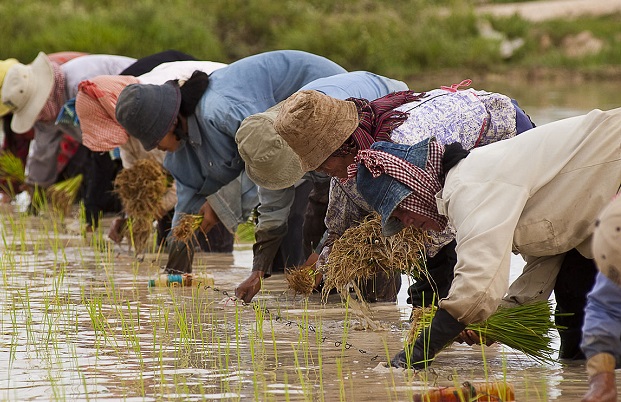 Farming, which is the mainstay of many of these rural folks, is at an all-time low Farming, which is the mainstay of many of these rural folks, is at an all-time low